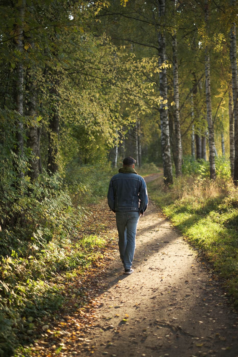 Osoba idąca ścieżką przez jesienny las brzozowy